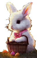 hase rabbit ostern easter - Animovaný GIF zadarmo