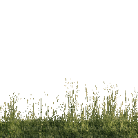 Трава - Ilmainen animoitu GIF