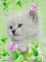 cat - Bezmaksas animēts GIF