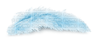 plume - Free PNG