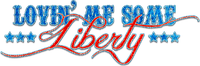 soave deco  patriotic 4th july usa text blue red - PNG gratuit