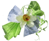 Blume, Schleife - nemokama png