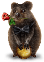 marmotte - Free PNG