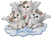MMarcia gif cat gato chat Boa noite - Бесплатный анимированный гифка