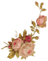 flower-roses-pink - ilmainen png