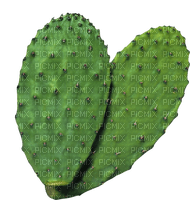 ✶ Cactus {by Merishy} ✶ - nemokama png