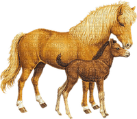 hästar-----horses - kostenlos png