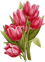 Tulpen, rot, Vintage, Blumen - gratis png
