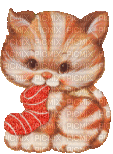 chat avec une chaussette - Бесплатный анимированный гифка