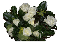 fleur blanche - GIF animasi gratis