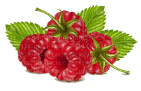Rasberries - png gratis