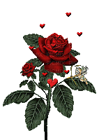 Rózsa - Nemokamas animacinis gif