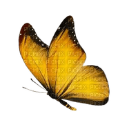yellow butterfly - PNG gratuit