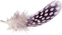 Kaz_Creations Deco Scrap Purple Colours Feather - PNG gratuit