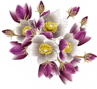 All my lovely flowers - безплатен png