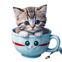 café chats - zdarma png