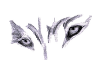 wolf eyes - png gratuito