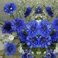 Blue Flowers.Fond.Background.Victoriabea - GIF animado gratis