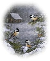 birds winter oiseaux hiver