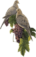 Kaz_Creations Birds Grapes - png ฟรี