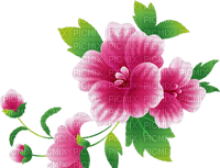 All my lovely flowers - PNG gratuit