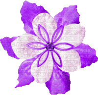 Christmas.Flower.White.Purple - KittyKatLuv65 - Animovaný GIF zadarmo