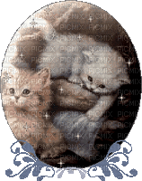 CATS - Δωρεάν κινούμενο GIF