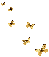 Schmetterlinge/Butterflys - 無料のアニメーション GIF