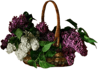 patymirabelle lilas - Free PNG