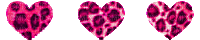 pink leopard print hearts