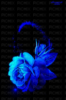 MMarcia gif flores fleurs  blue - GIF animado grátis