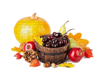 Autumn Fruits - png gratis