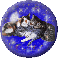 cat globe - GIF animé gratuit