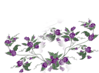 blommor-lila----flowers-purple - ilmainen png