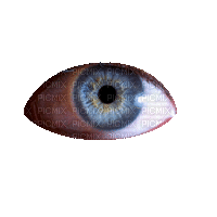 Eye looking around - GIF animé gratuit