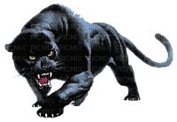 panther - δωρεάν png