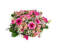 kukka, fleur, flower - 無料png
