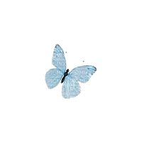Light Blue Butterfly - zdarma png