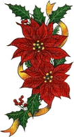 Stella di Natale: Euphorbia - zdarma png