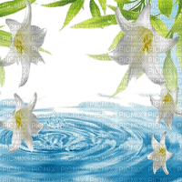 flower fleur blumen water wasser eau branch   summer ete sommer    fond background  image tube overlay - PNG gratuit