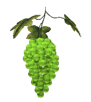 grape - Gratis geanimeerde GIF