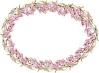 Oval.Frame.Pink.Flowers.spring.Victoriabea - Free PNG