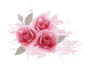 patymirabelle rose rose - zdarma png
