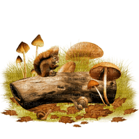autumn deco kikkapink png cluster squirrel - безплатен png