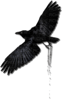 raven rabe oiseau - PNG gratuit