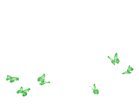 green butterflys - Free animated GIF