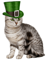 Saint Patricks Day. Cat. Leila - PNG gratuit