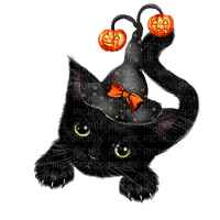 Cat.Witch.Black.Orange - PNG gratuit