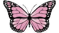 Papillon.Butterfly.Pink.Victoriabea - Bezmaksas animēts GIF
