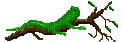 lizard - GIF animate gratis